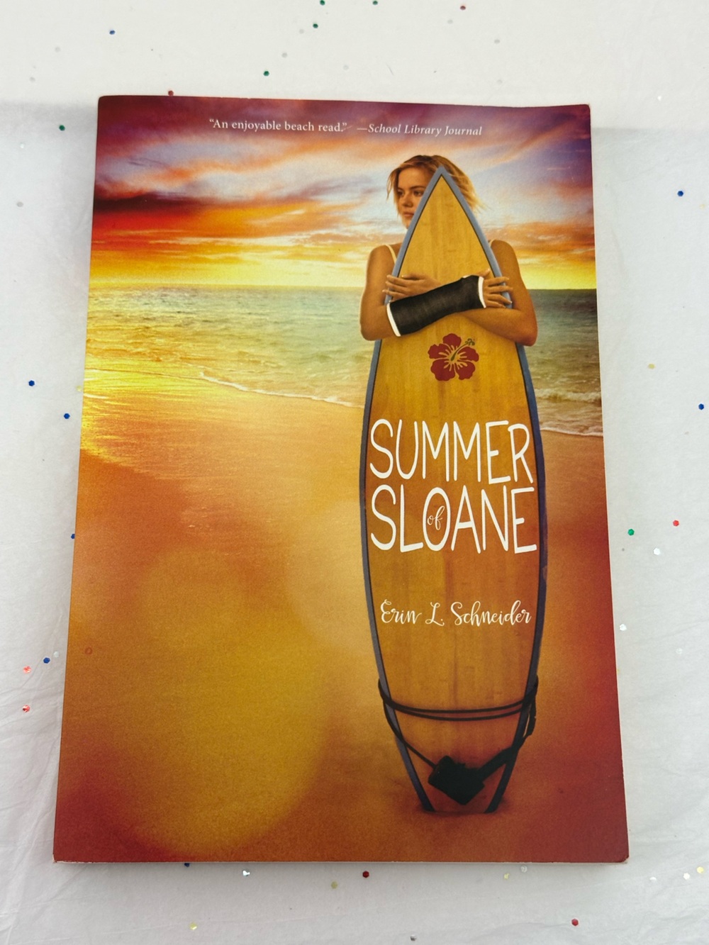 Summer of Sloane by Erin L Shneider  (2017) Paperback Young Adult Novel NWT